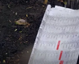 Les gens ont mis leurs anciens journaux dans leur jardin et VOICI pourquoi