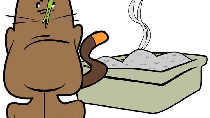 Was WIRKLICH gegen Geruch auf dem Katzenklo hilft! Genial!