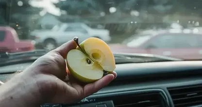 Rub your car windshield with an apple and watch what happens. Super practical!