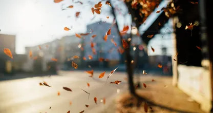 Laat die trui maar in de kast: dit is de weersvoorspelling voor de herfstvakantie