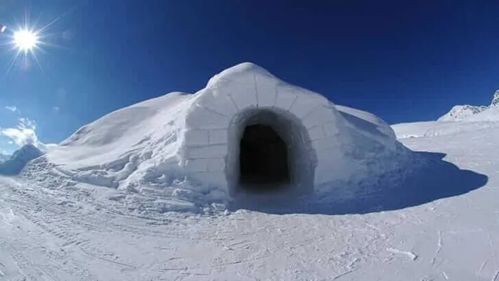 iglo7