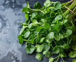 Cette feuille négligée devance l'épinard, le brocoli et le chou frisé en tant que légume le plus sain