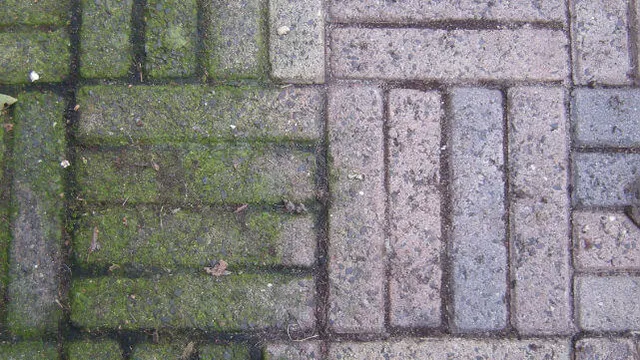 Remover as manchas verdes das telhas do quintal? Com esse truque, é muito simples! Você realmente deveria tentar isso!