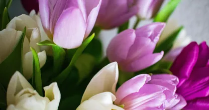 Uit onderzoek gebleken: deze bloemen werken goed voor je humeur