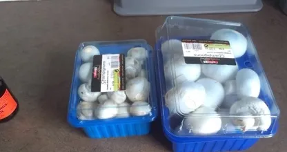 Häh?! Also DAS macht man mit dem Dosendeckel der Champignons!