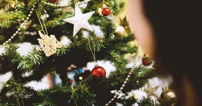 Dit is waarom het van levensbelang is dat je de kerstboom altijd water geeft!