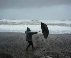 Code geel: zware windstoten zorgen voor veel stormschade