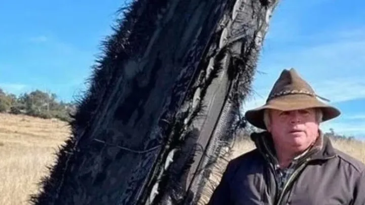 A Mysterious Large Object From Outer Space Crashed On A Sheep Farm In Australia 