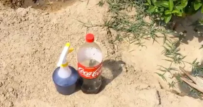 Halt! Hebe die Cola doch lieber für den Garten auf, anstatt sie einfach wegzuschütten