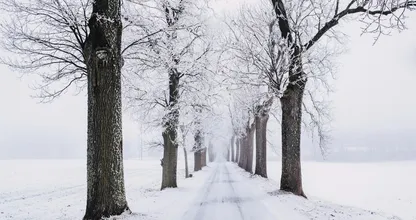 Winters weer: vanavond gaat het opnieuw sneeuwen