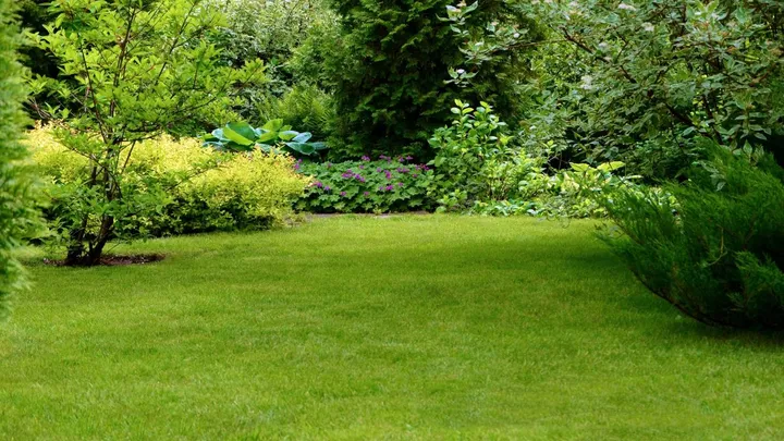 Gras zaaien? Wij vertellen je wanneer je dat het beste kunt doen