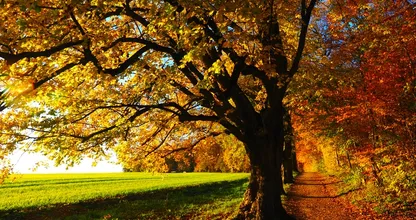 Nazomer in aantocht: eind deze week temperaturen tot 20 graden