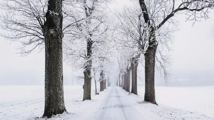 Winters weer: vanavond gaat het opnieuw sneeuwen