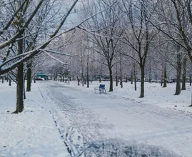 Experts voorspellen: dit weer kunnen we deze winter verwachten