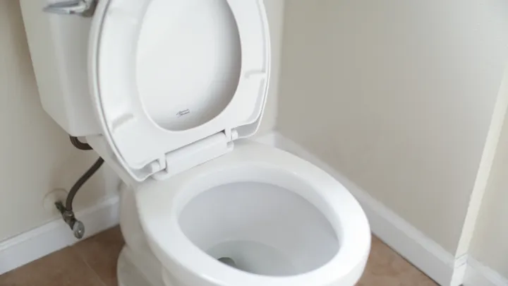 Liste des choses que vous ne devriez pas jeter dans les toilettes