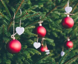 6 tips to keep your Christmas tree fresh all through the holidays