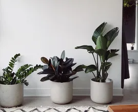 Find out: this is how you can clean white walls