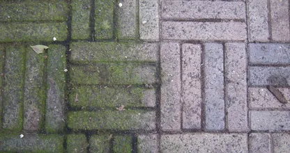 ¡Deshazte de las espantosas manchas verdes de las baldosas! Es tan fácil que no lo creerás. ¡Debes probar esto!