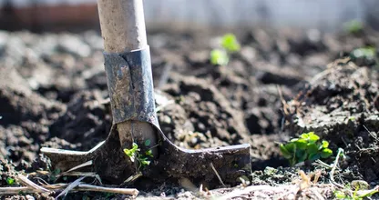 Das Wetter lädt eindeutig zur Gartenarbeit ein! Kennst du diese 9 Garten Tricks schon?