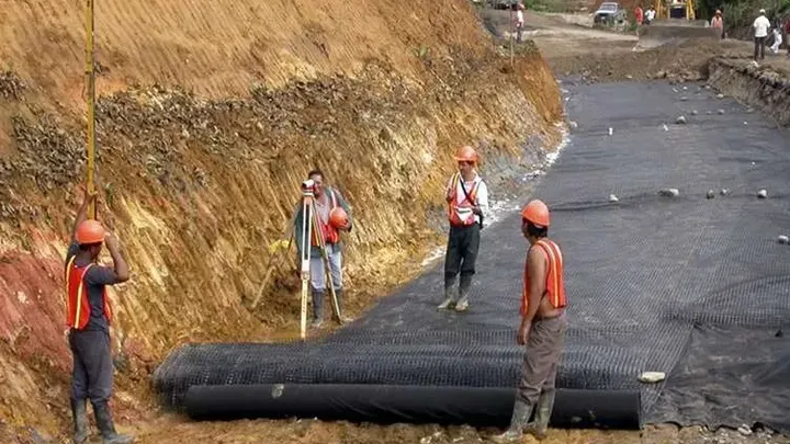 Ci pracownicy znaleźli gigantycznego węża - nie uwierzysz, co znaleźli w środku!