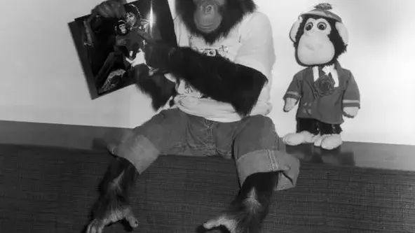 Des chimpanzés aux fourmiliers - Le monde excentrique des animaux de compagnie des célébrités