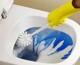 Diesen essentiellen Schritt vergessen die meisten beim WC putzen. Du auch?