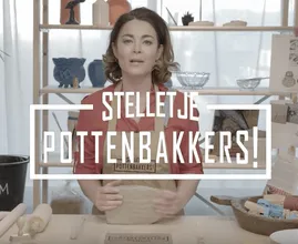 Veel kritiek van kijkers op nieuw tv-programma 'Stelletje Pottenbakkers'