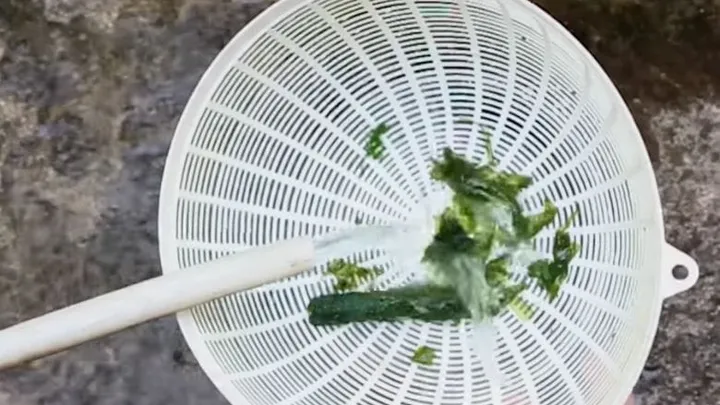 Ist dein Gartenschlauch mit Algen verstopft? Ein Schwamm spült alles sofort durch!