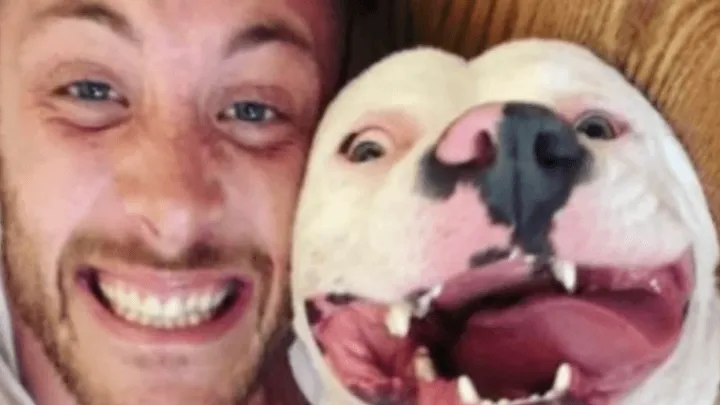 Uma foto de um cão feliz adotado era toda a evidência que a polícia precisava