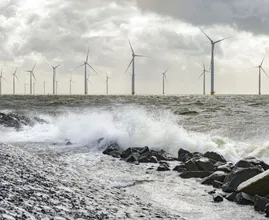 Storm Eunice komt eraan: vanaf vrijdagmiddag code oranje in heel het land