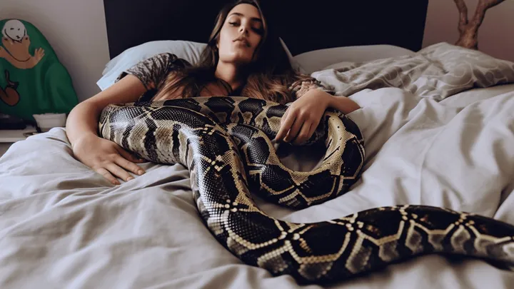 Mulher pensou que poderia dormir em segurança com sua píton de estimação todas as noites, até que o veterinário lhe mostrou a surpreendente verdade