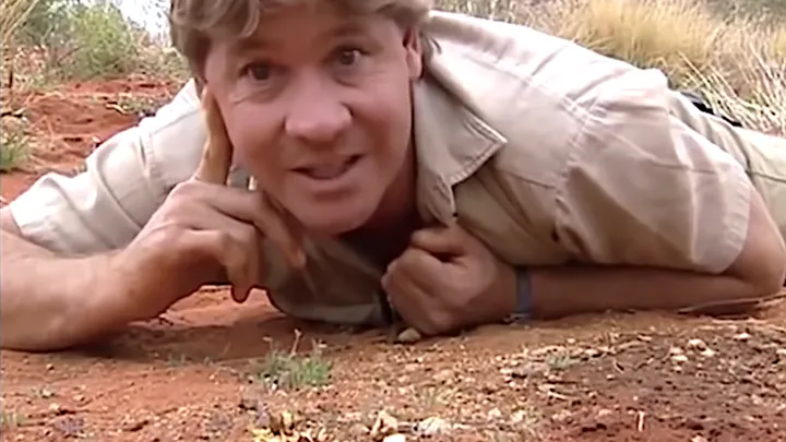 Dit is hoe het nu gaat met de familie van Steve Irwin