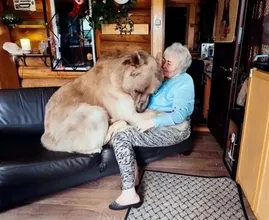 Diese ältere Dame lebt zusammen mit einem Braunbäre