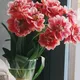 Door deze fout kan een bos bloemen sneller verwelken