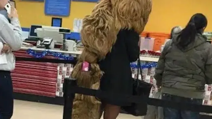 Antiques dans les allées : 37 cas où les courses sont devenues hilarantes !