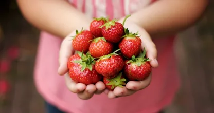 Aardbeien bewaren? Zo houd je ze het langst goed
