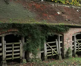 This Elderly Woman (87) Lives in Old Stable – But Wait Until you see Inside!