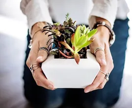 Deze twee sterrenbeelden zorgen het allerbest voor hun kamerplanten