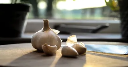 Vliegen in huis? Geen probleem met deze handige tip, je bent er zo van verlost!