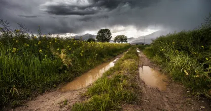 Code geel: onweersbuien en hagel verwacht vandaag