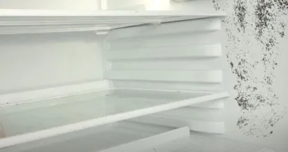 So wirst du Schimmel im Kühlschrank ganz schnell los