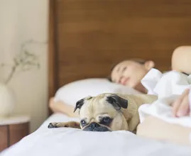 Dit is hoeveel slaap we nodig hebben per leeftijd, van baby tot oudere