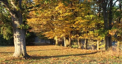 Hallo herfst! Het weer slaat volgende week drastisch om