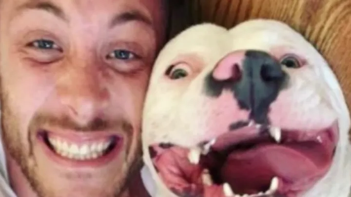 Una foto de un perro adoptado feliz era toda la evidencia que necesitaba la policía