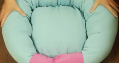 Schmeiß deinen alten Pulli nicht weg, mache ein Hundebett daraus!