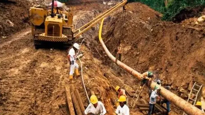 Esses trabalhadores encontraram uma cobra gigante - você não vai acreditar no que eles encontraram dentro dela!