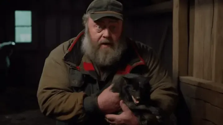 Farmer Finds Missing Buffalo After 8 Months - When He Gets Closer, He Turns Pale