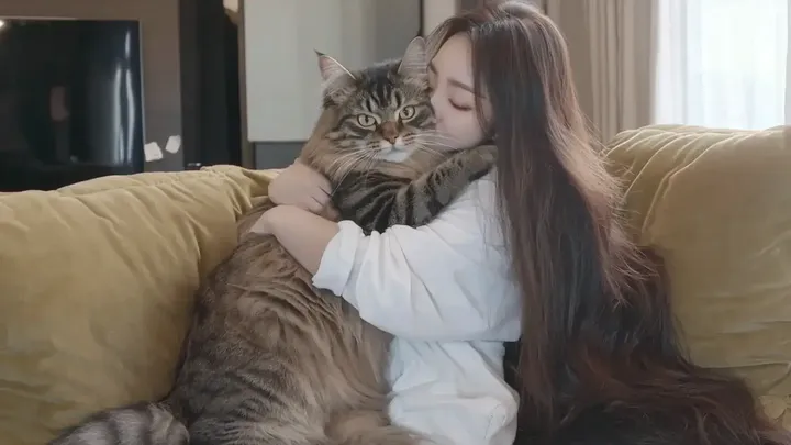 猫が女性を一人にしない - 理由を知った夫が警察を呼ぶ