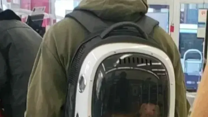 Antiques dans les allées : 37 cas où les courses sont devenues hilarantes !