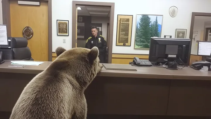 Bear Invades Police Station – What It Leaves Behind Leaves Officers Stunned!